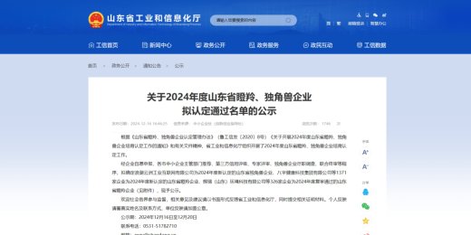 喜 讯 祝贺我公司荣获2024年度山东省瞪羚企业认定