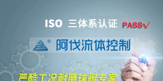 阿伐流体控制有限公司 顺利通过三体系认证监督审核